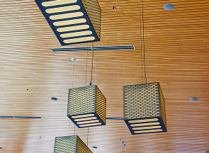 light casings